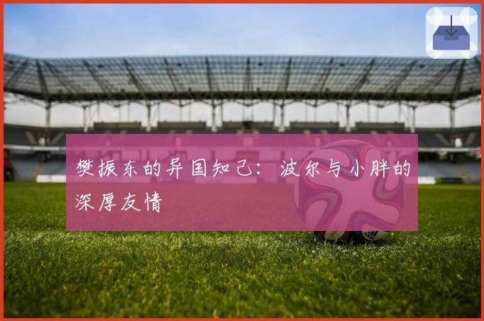 樊振东的异国知己：波尔与小胖的深厚友情