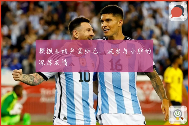 樊振东的异国知己：波尔与小胖的深厚友情